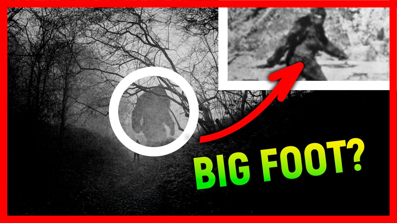 Episodio Bigfoot